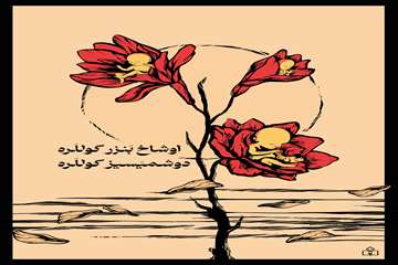 مائده نجفلو2